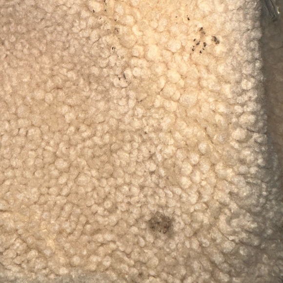 Prada Tote Bag with Sheep Fur - Picture 4 of 16